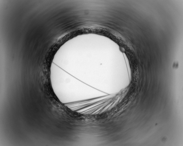 X0000103430822200810101040