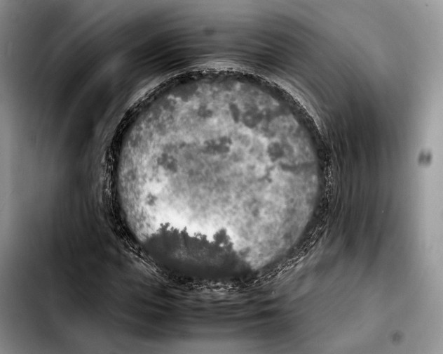 X0000103430823200810101040