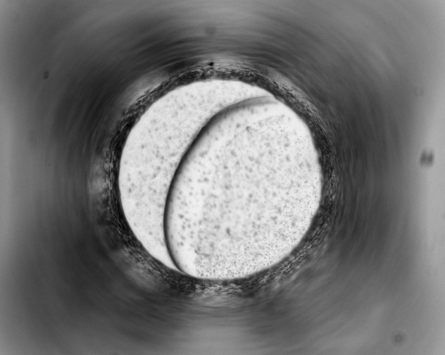 X0000103430824200810101040