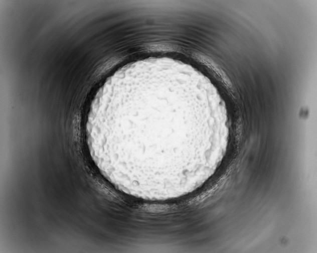X0000103430825200810101040