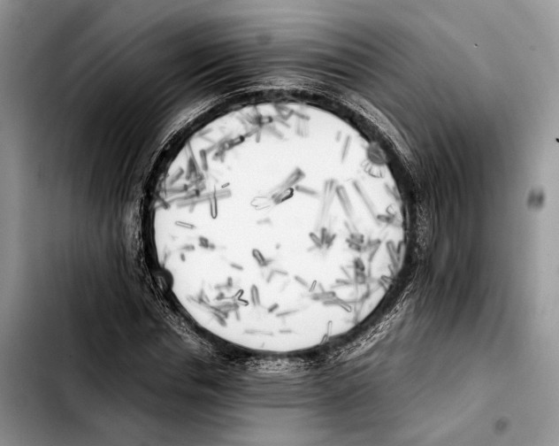 X0000103430826200810101040