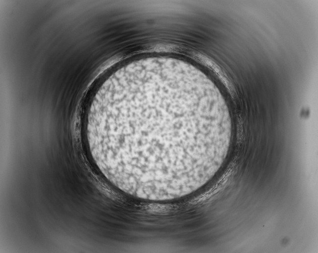 X0000103430827200810101040