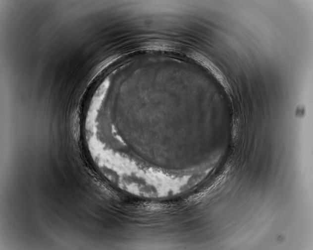 X0000103430829200810101040