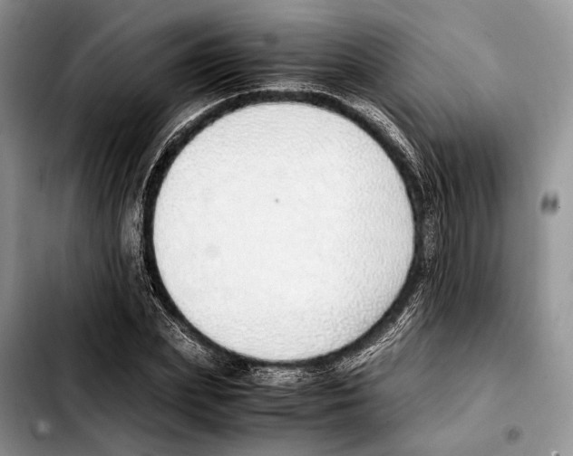 X0000103430831200810101040
