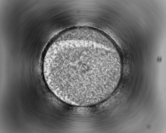 X0000103430832200810101040