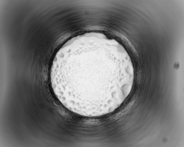 X0000103430833200810101040
