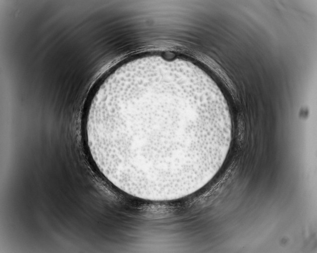 X0000103430834200810101040