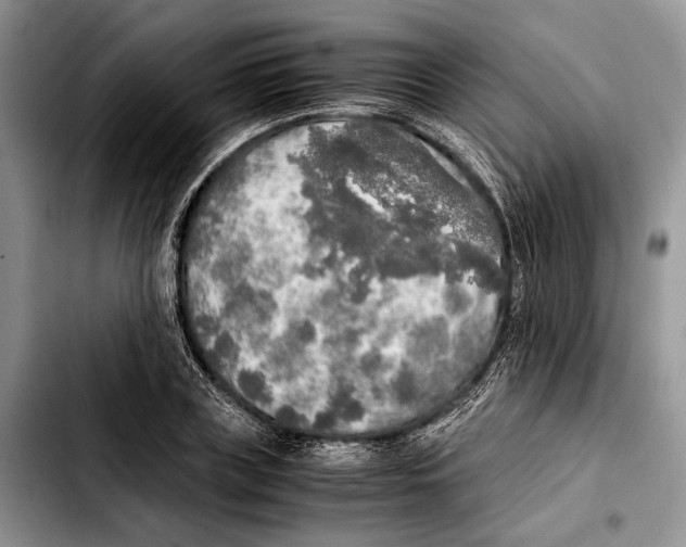 X0000103430835200810101040