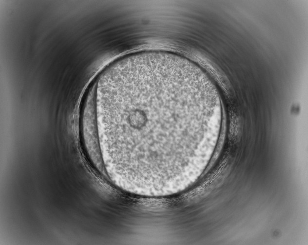 X0000103430836200810101040