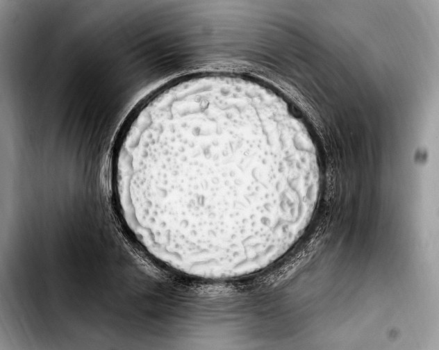 X0000103430838200810101040