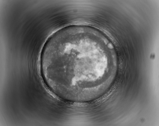 X0000103430840200810101041