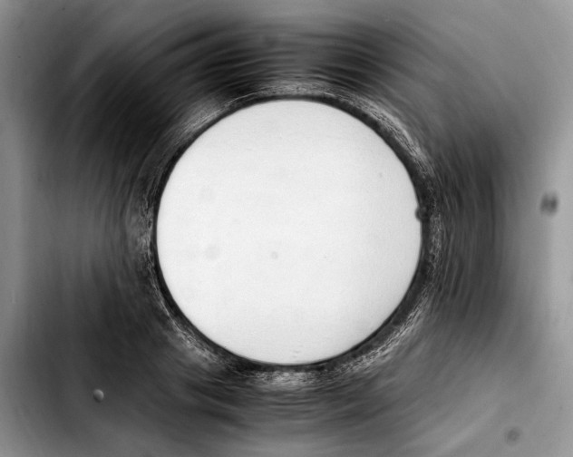 X0000103430841200810101041
