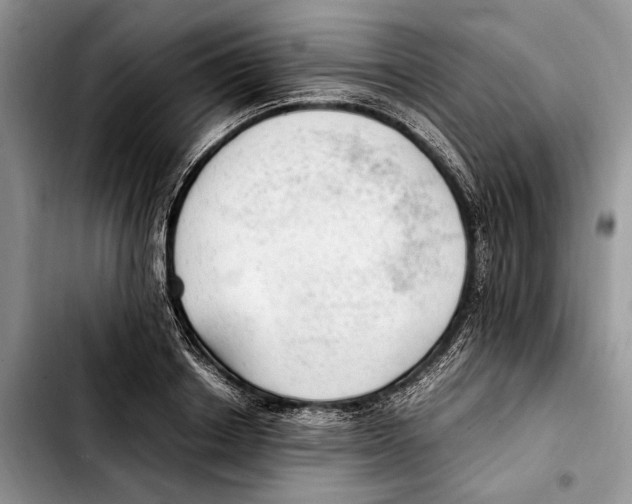 X0000103430842200810101041