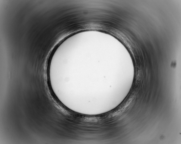 X0000103430843200810101041