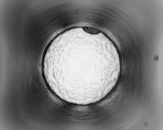 X0000103430845200810101041