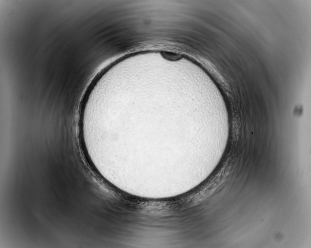 X0000103430846200810101041