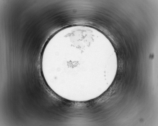 X0000103430848200810101041