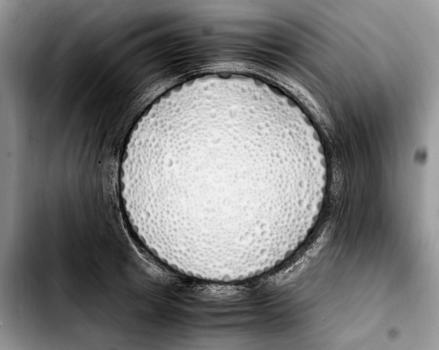 X0000103430849200810101041