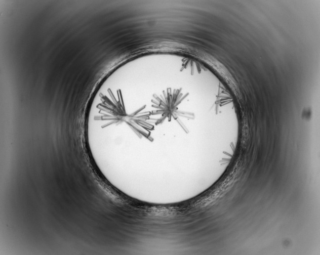 X0000103430850200810101041