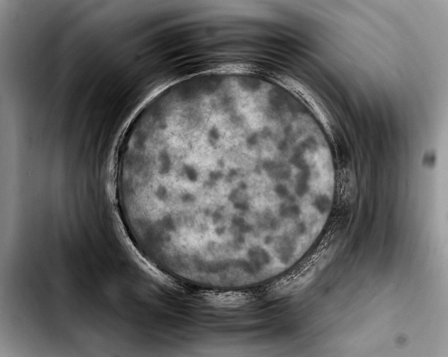 X0000103430851200810101041