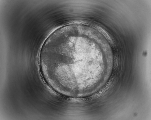 X0000103430852200810101041