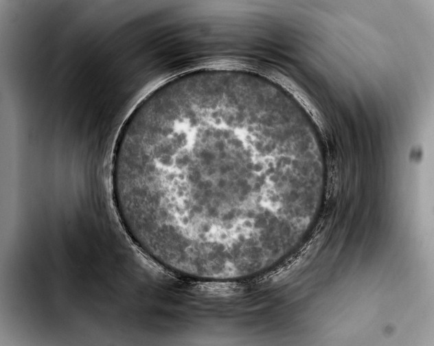 X0000103430853200810101041