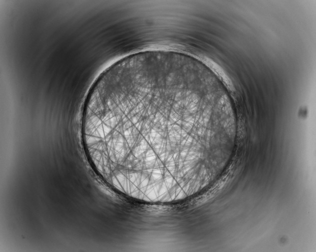 X0000103430854200810101041