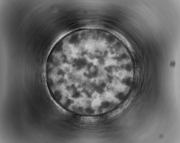 X0000103430855200810101041