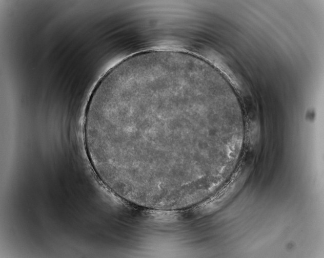 X0000103430856200810101041