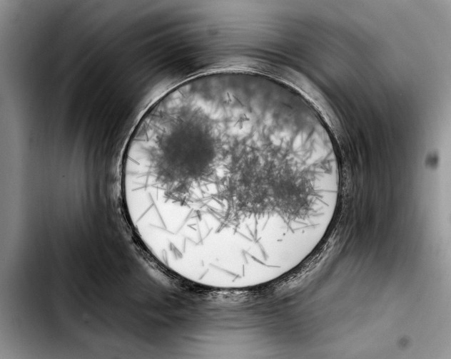 X0000103430858200810101041
