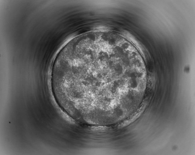 X0000103430859200810101041