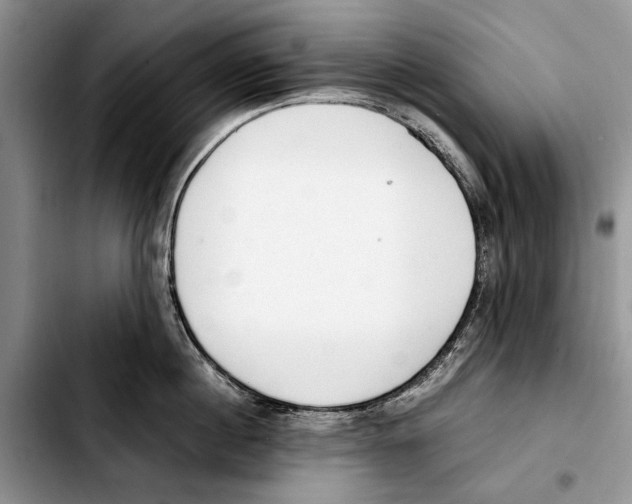 X0000103430860200810101041