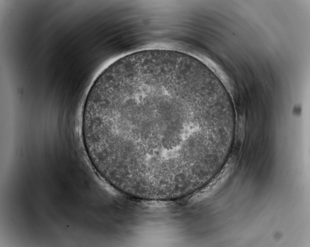 X0000103430862200810101041