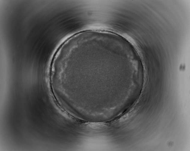 X0000103430864200810101041