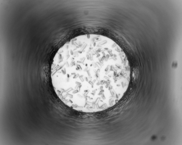 X0000103430867200810101040