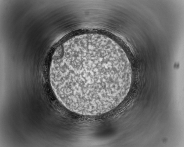 X0000103430871200810101040