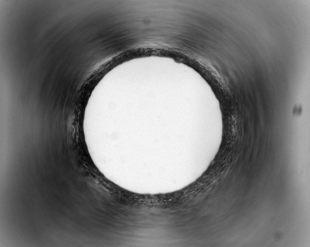 X0000103430872200810101040