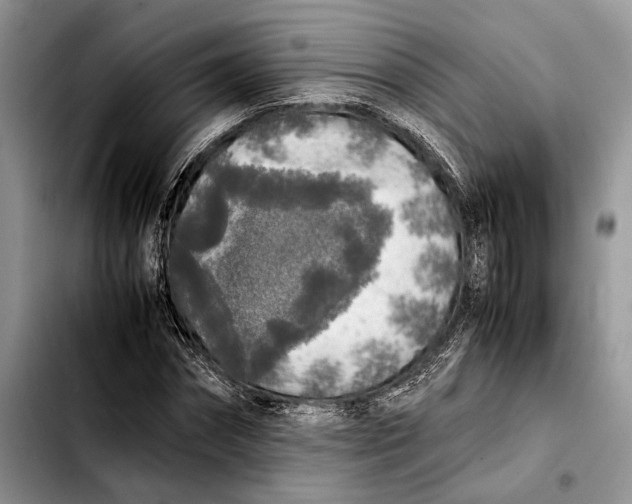 X0000103430874200810101040