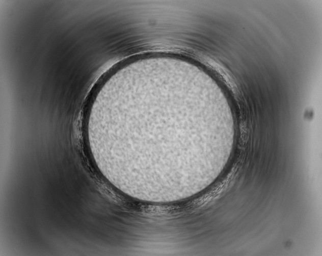 X0000103430875200810101040