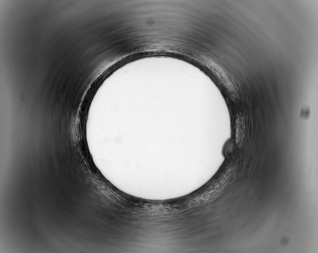 X0000103430876200810101040