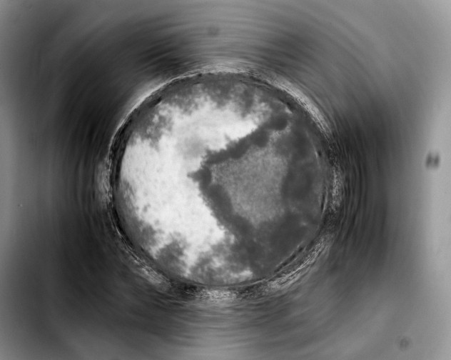 X0000103430878200810101040