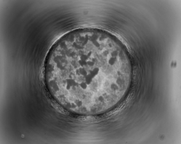 X0000103430879200810101040