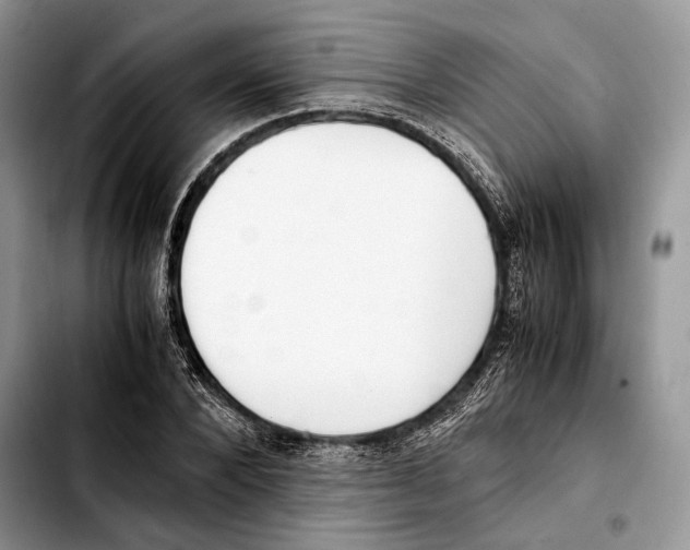 X0000103430880200810101040