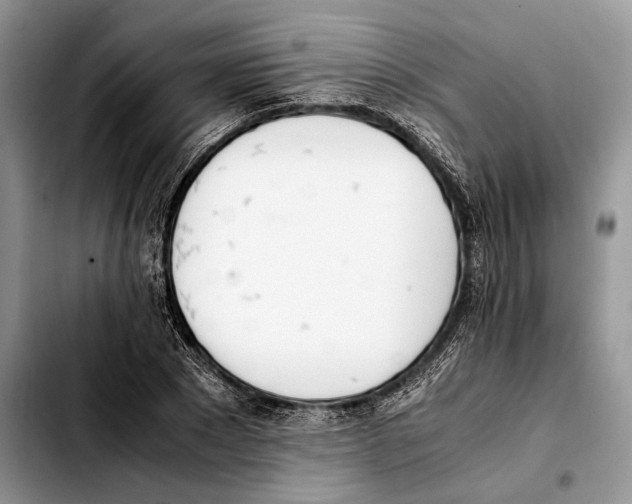 X0000103430881200810101040