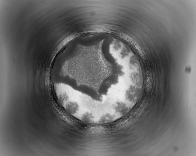 X0000103430882200810101040