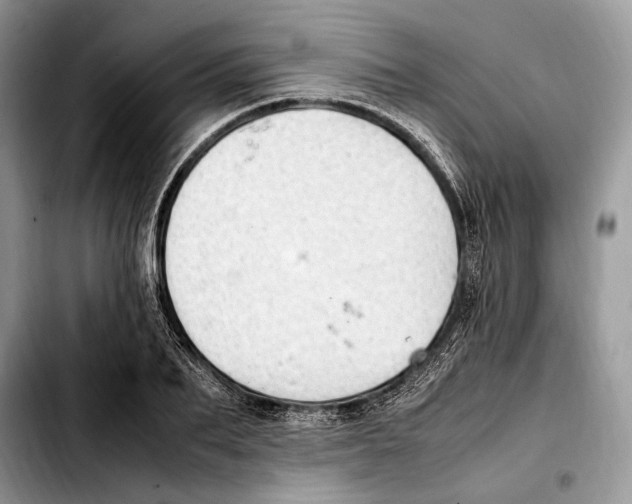 X0000103430887200810101040