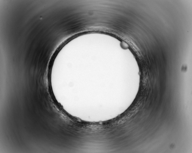 X0000103430888200810101040