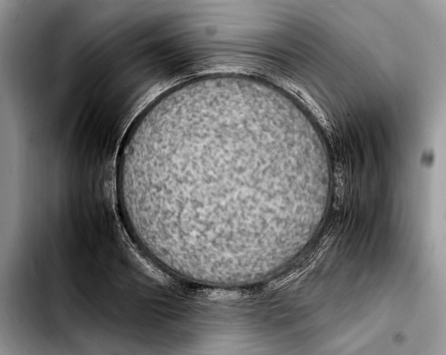 X0000103430890200810101040