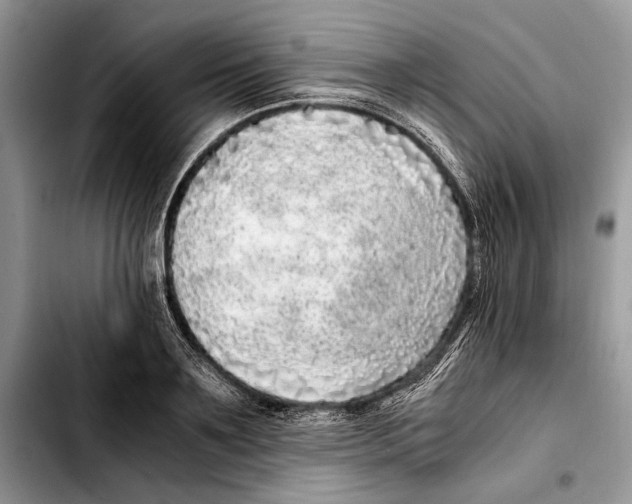 X0000103430891200810101040