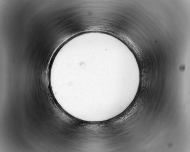 X0000103430892200810101040